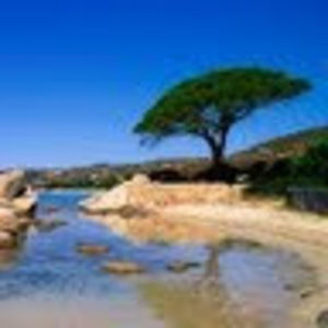 Meet your Posher, Ezriel